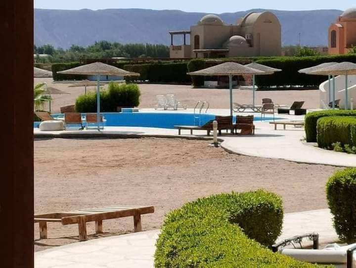 Renzo -   Property 1226