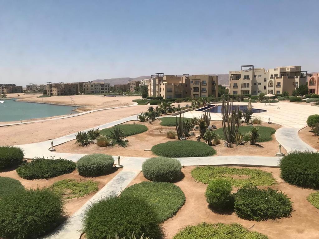 Renzo -   Property 1228