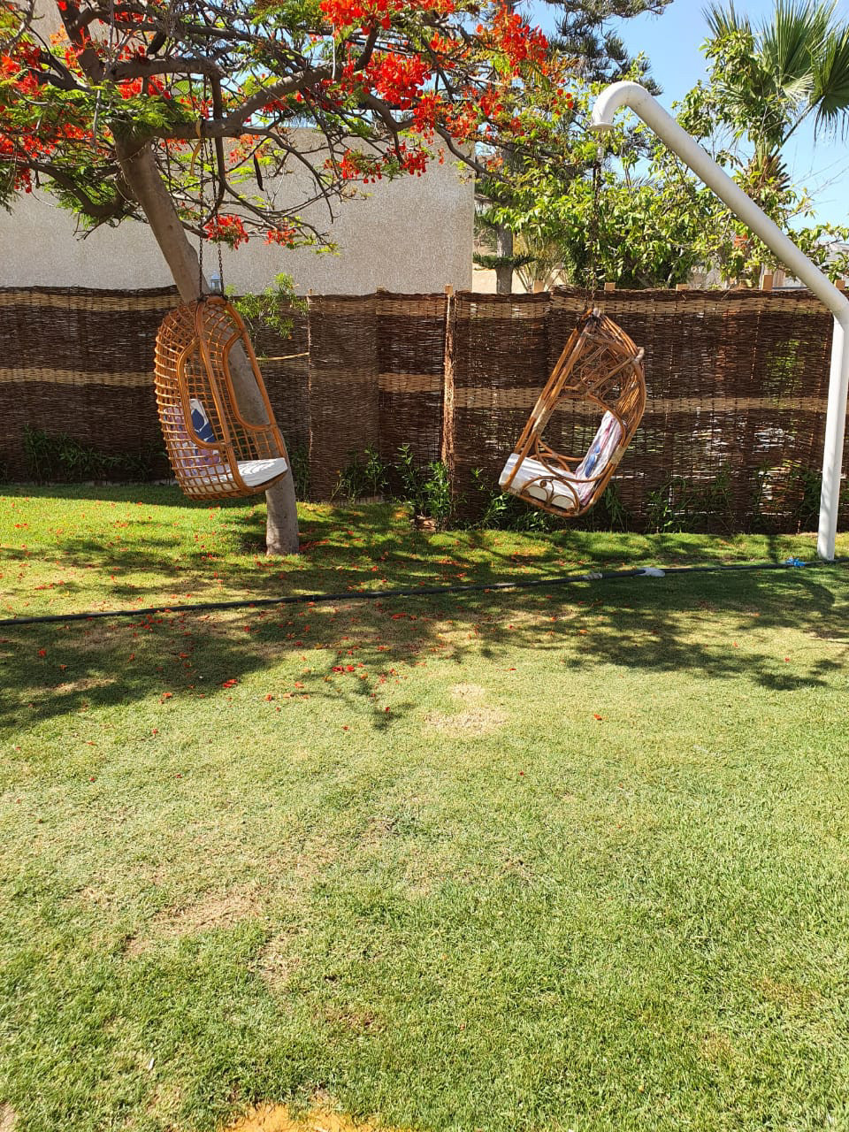 Renzo -   Property 830