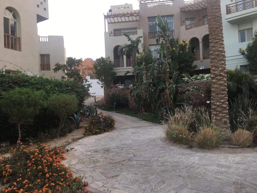 Renzo -   Property 1249