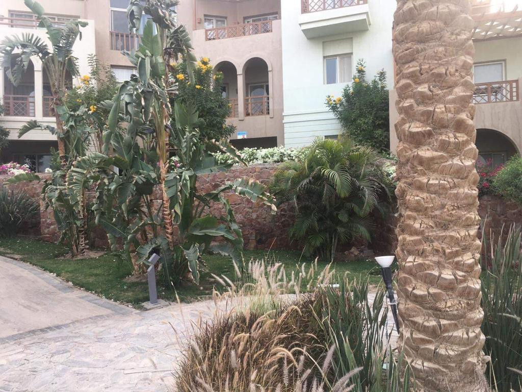 Renzo -   Property 1249