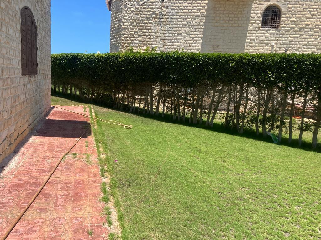 Renzo -   Property 1268