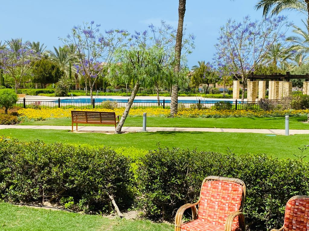 Renzo -   Property 1269