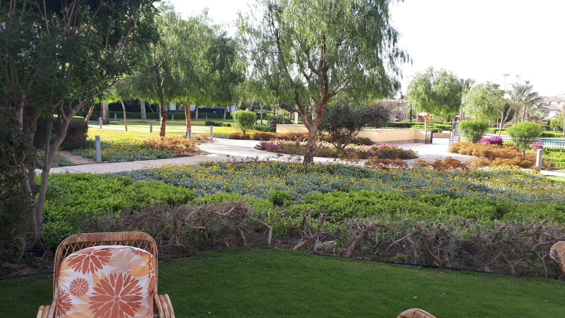 Renzo -   Property 1269