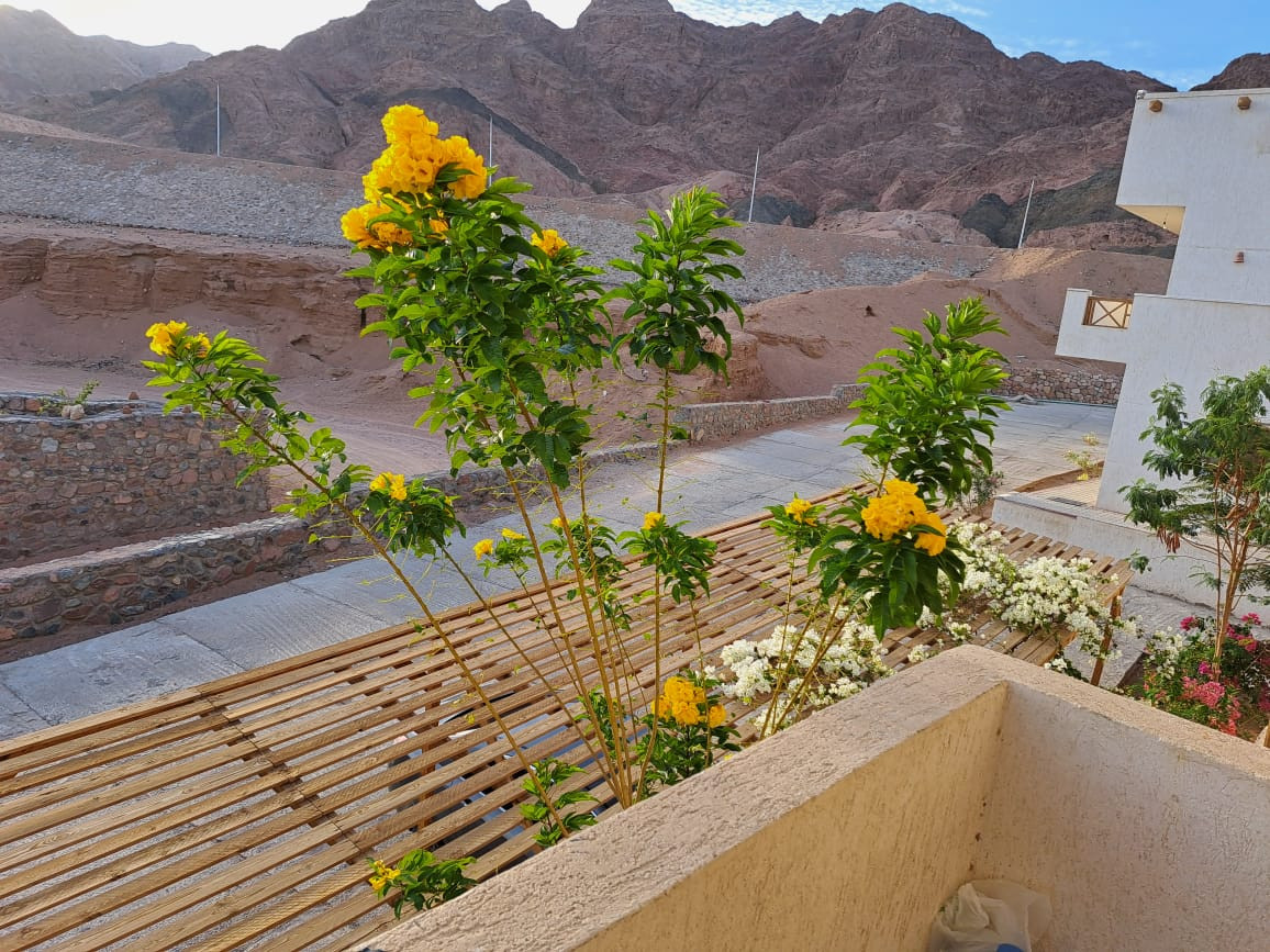 Renzo -   شاليه غرفتين في دهب