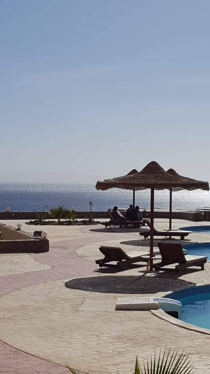 Renzo -   شاليه غرفتين في دهب