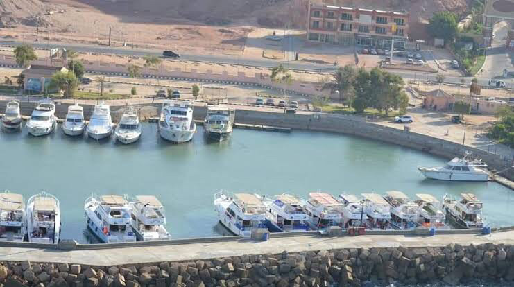 Renzo -   Property 305