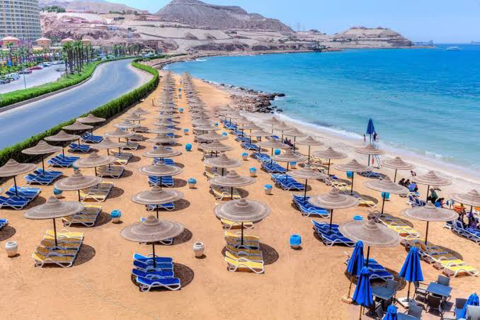 Renzo -   Property 305